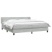 Cama box spring con colchones terciopelo gris claro 200x210 cm