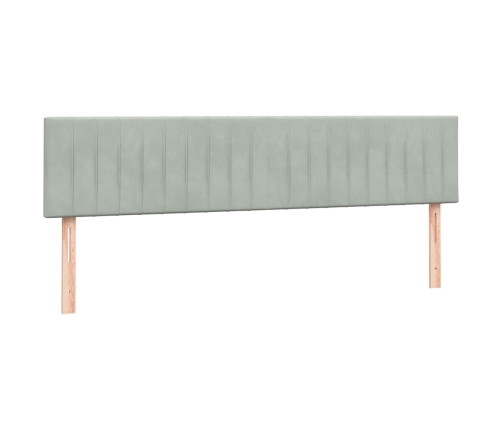 Cama box spring con colchón terciopelo gris claro 180x220 cm