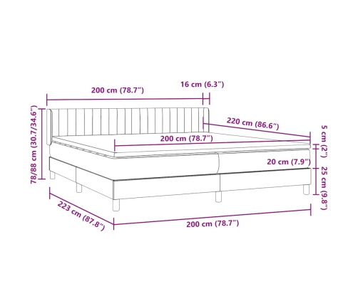 Cama box spring con colchón terciopelo gris oscuro 200x220 cm