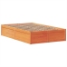 Estructura de cama sin colchón madera maciza marrón 135x190 cm