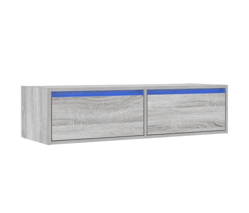 Mueble de TV con luces LED sonoma gris 100X35,5x25 cm