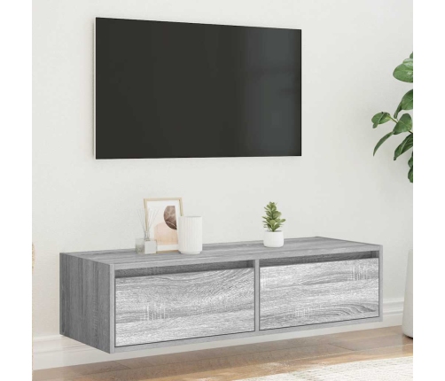 Mueble de TV con luces LED sonoma gris 100X35,5x25 cm