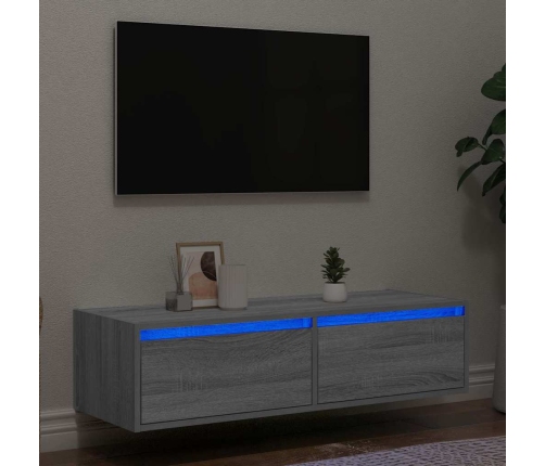 Mueble de TV con luces LED sonoma gris 100X35,5x25 cm