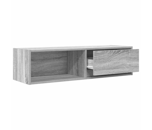 Mueble de TV Sonoma gris 100x31x25,5 cm madera de ingeniería