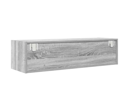 Mueble de TV Sonoma gris 100x31x25,5 cm madera de ingeniería