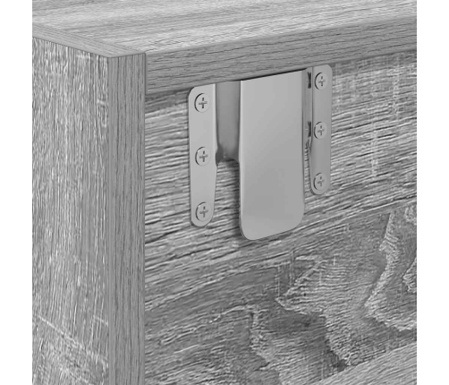 Mueble de TV Sonoma gris 100x31x25,5 cm madera de ingeniería