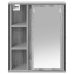 Mueble de baño de pared con espejo gris Sonoma 50x21x60 cm