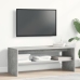 Mueble de TV madera contrachapada gris hormigón 100x40x40 cm