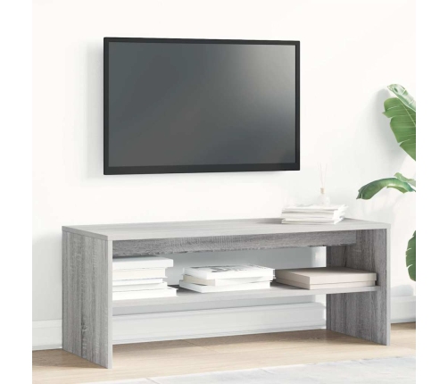 Mueble de TV madera contrachapada gris Sonoma 100x40x40 cm