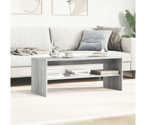 Mueble de TV madera contrachapada gris Sonoma 100x40x40 cm