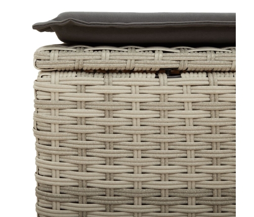 Set muebles jardín 9 pzas y cojines ratán sintético gris claro