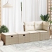 Set sofás jardín y cojines 2 pzas ratán sintético acacia beige