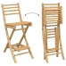 Taburetes de bar para exterior con reposapiés 2 uds. Plegables