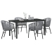Set de comedor de jardín  de 5 piezas en gris ratán