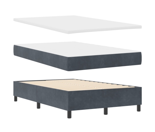 Cama con Box Spring y Colchón Gris Oscuro 120x200 cm de Terciopelo