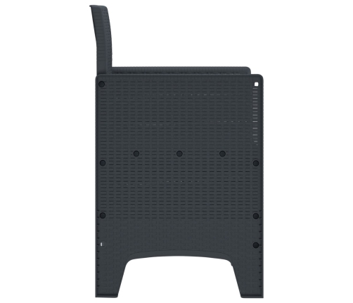 Silla de jardín  Set de 2 Antracita, Gris Claro