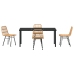 Conjunto de Comedor Jardín de 5 Piezas Marrón Ratán Poliéster