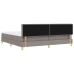 Cama Box Spring  con Colchón Taupe 200x200 cm Tela