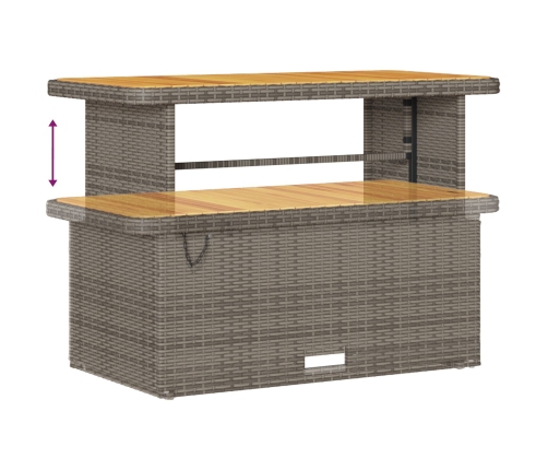 Juego de Sofás de Jardín de 10 Piezas con Cojines Gris Polirratán Acacia,  Sofá de Jardín de 2 Plazas con Almacenamiento y Cojines Gris Polirratán,  Juego de Comedor de Jardín de 4 Piezas con Cojines Gris Polirratán Acacia
