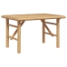 Mesa de Café  70x40x36 cm de Bambú
