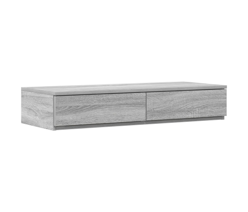 Marco de cama con almacenamiento  Gris sonoma Madera contrachapada