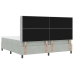 Cama con Box Spring y Colchón  Gris Claro 200x200 cm Terciopelo