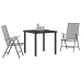 Conjunto de Comedor de Jardín de 3 Piezas  Acero Antracita