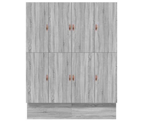 Cama con Almacenamiento  Grey Sonoma Madera 180 x 200 cm