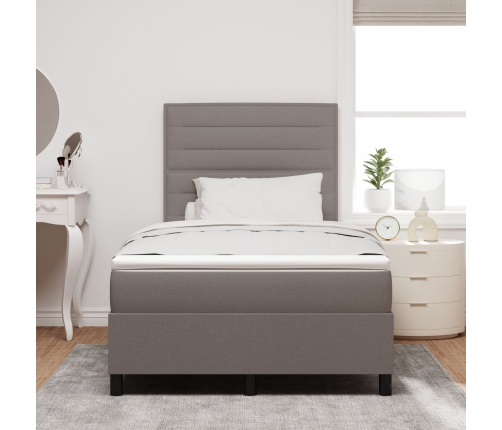 Cama Box Spring con Colchón Taupe 120x200 cm Tela