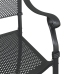 Sillas de Jardín  2 pcs Negras de Aluminio
