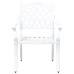 Sillas de Jardín  2 pcs de Aluminio Fundido Blanco