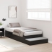 Estructura de Cama de Almacenamiento  Roble negro Madera elaborada