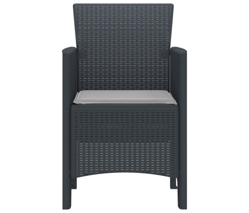 Silla de jardín  Set de 2 Antracita, Gris Claro