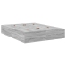 Marco de Cama con Almacenamiento  Gris Madera Resistente