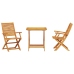 Conjunto de Bistro Plegable de 3 Piezas de Madera de Acacia