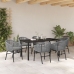 Conjunto de Jardín  de 7 Piezas en Ratán Poliéster Gris