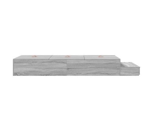 Marco de cama con almacenamiento  Gris sonoma Madera contrachapada