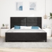 Estructura de Cama Negra 200x200 cm Terciopelo
