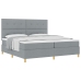 Cama Box Spring con Colchón  Gris Claro 200x200 cm Tela