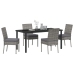 Set de Comedor de Jardín de 5 Piezas  Gris Poliratán