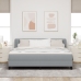 Cama con Muelles VidaXL con Colchón Gris Claro 180x200 cm Tela