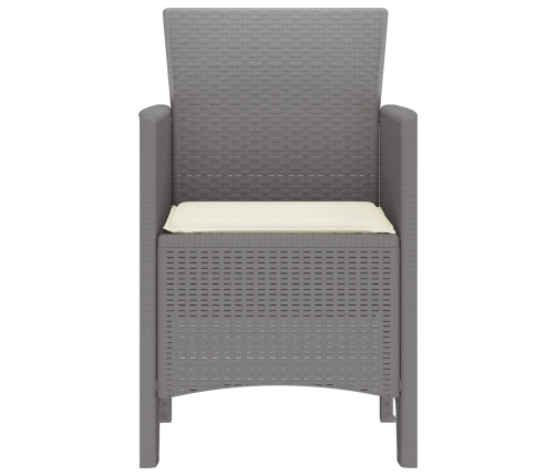 Silla de Jardín  Conjunto de 2 Gris claro y crema Polipropileno
