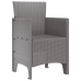 Silla de Jardín  Conjunto de 2 Gris Claro Resina Plástica Estándar