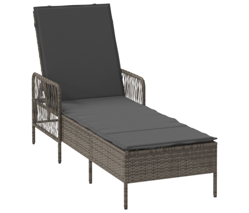 Tumbona  Gris y gris oscuro Ratán PE 157 x 55 x 92 cm Tumbona
