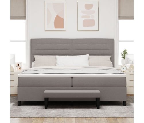 Cama Box Spring  con Colchón y Banco Gris 200x200 cm Tela