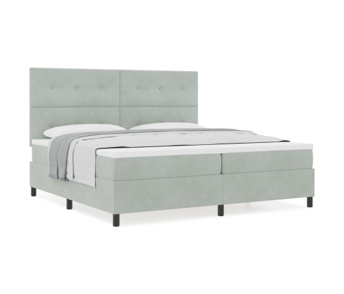 Cama Box Spring  con Colchón Gris Claro 200x200 cm Terciopelo