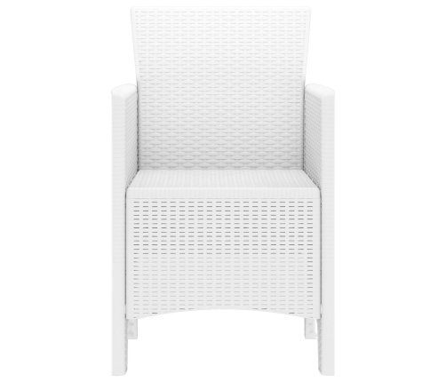 Silla de Jardín Conjunto de 2 Blanco Estilo de Ratán Plástico