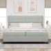 Cama con Box Spring y Colchón  Gris Claro 200x200 cm Terciopelo