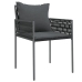 Conjunto de 2 Negro Ratán sintético 54x61x83 cm Duradero
