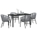 Conjunto de comedor de jardín de 5 piezas  Gris Poliratán
